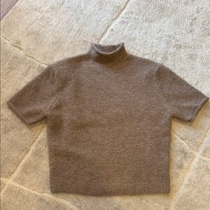 Zara short sleeve mockneck Brown Turtleneck Sweater
